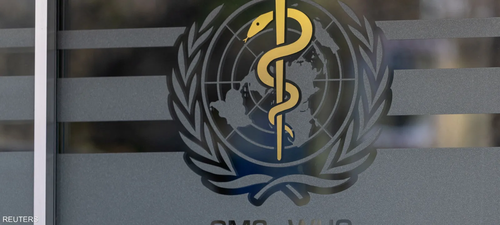 منظمة الصحة العالمية