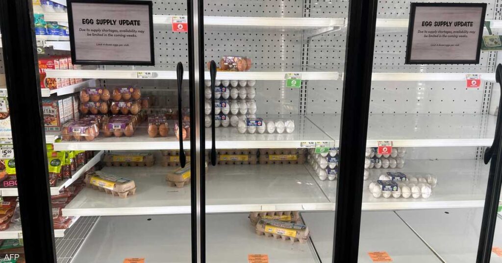 سرقة 100 ألف بيضة سعرها 40 ألف دولار في ولاية أميركية