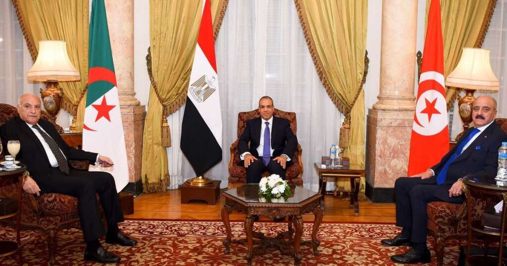 مصر والجزائر وتونس: نرفض كل أشكال التدخل الخارجي في ليبيا