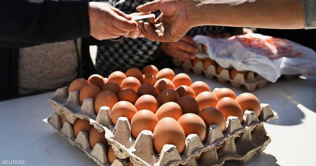 أزمة صحية.. لماذا سُحبت 1.7 مليون بيضة من الأسواق الأميركية؟