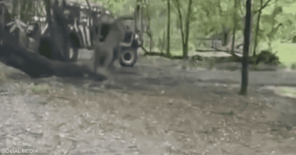 وقف وحيدا وظهره للحيوانات.. فيديو لأسود تقتل حارسها المستسلم