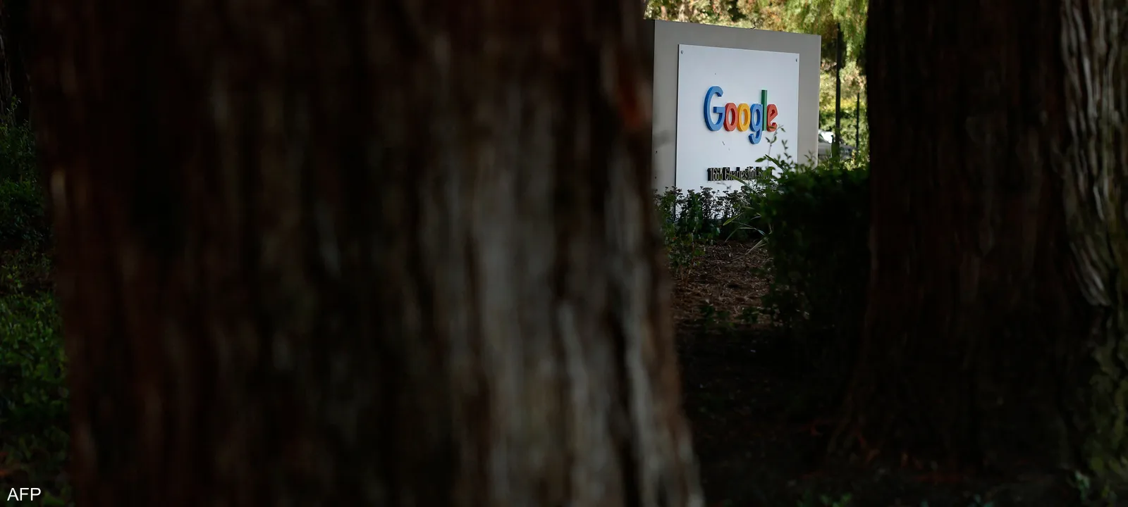 "ألفابت".. هل تصبح رابع عضو في "نادي الـ 4 تريليونات دولار"؟