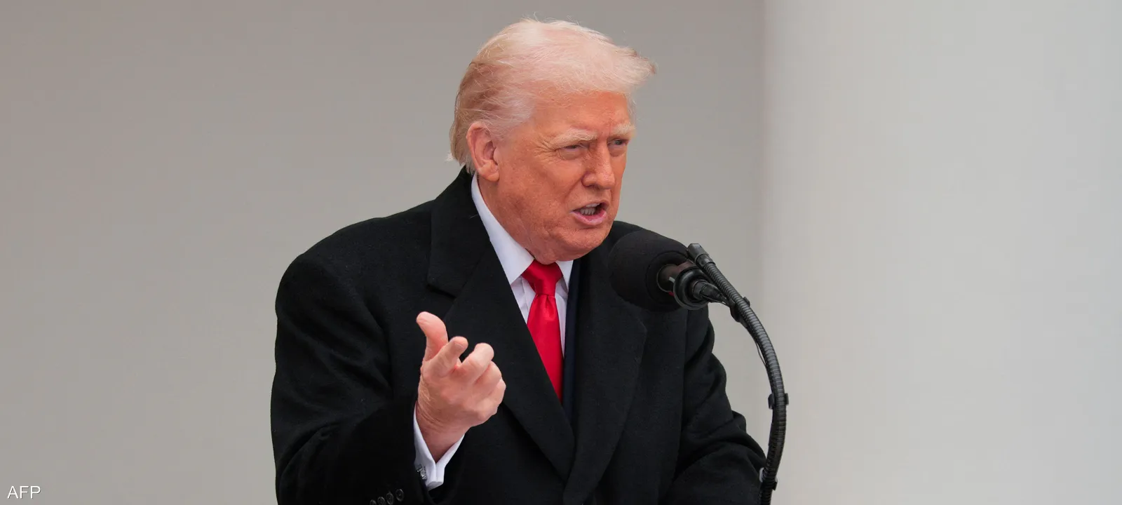 بهدف إنهاء حرب أوكرانيا.. ترامب يوفد ويتكوف إلى روسيا