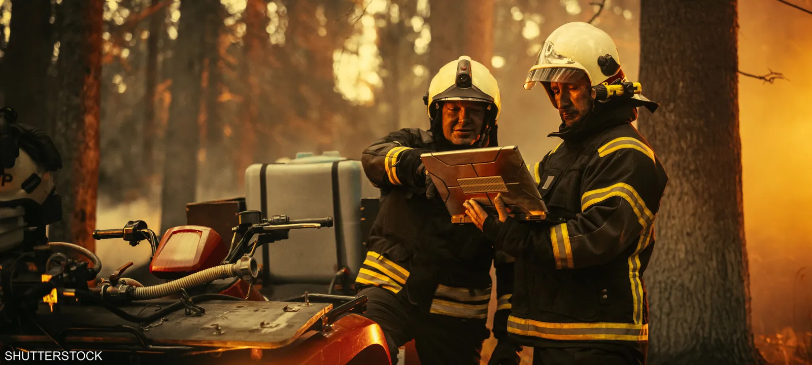 هل يصبح الذكاء الاصطناعي حارس الغابات الذي ينقذها من الحريق؟